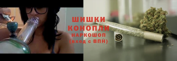 соль ск Белокуриха