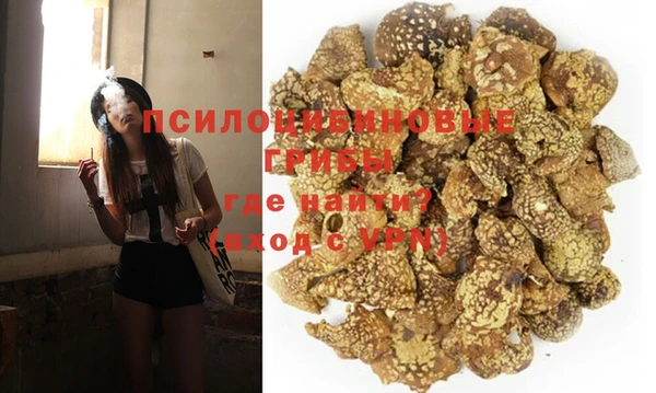 соль ск Белокуриха