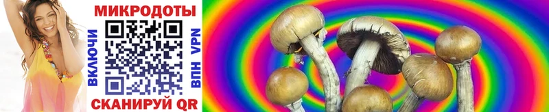 Псилоцибиновые грибы MAGIC MUSHROOMS  ОМГ ОМГ онион  Гатчина 