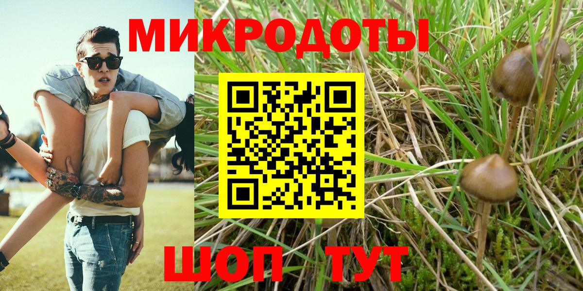 Псилоцибиновые грибы Magic Shrooms Гатчина