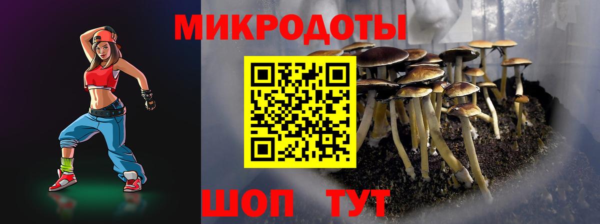 Псилоцибиновые грибы Cubensis  Вход с VPN  купить наркоту  Гатчина 